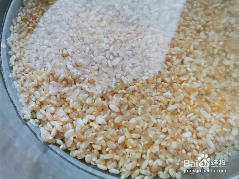 做出入味的双色杂豆糙米饭团