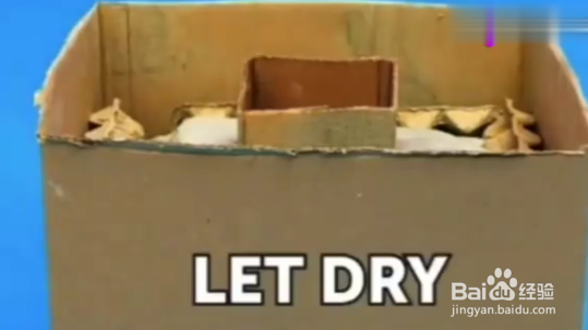 怎么创意使用鸡蛋托