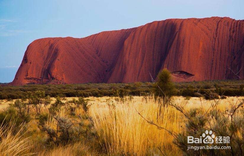 看一看Maxigenes故乡澳洲的风景名胜