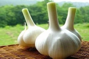 脑胶质瘤不能吃什么