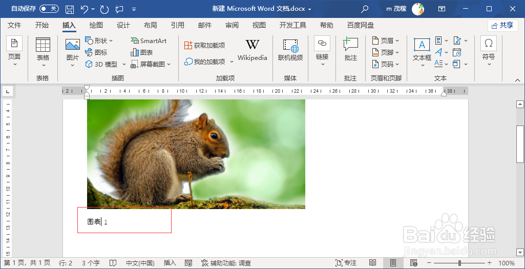 word2021给图片注解文字