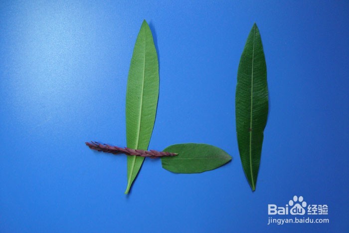 植物拼装画之吹口哨的牧童