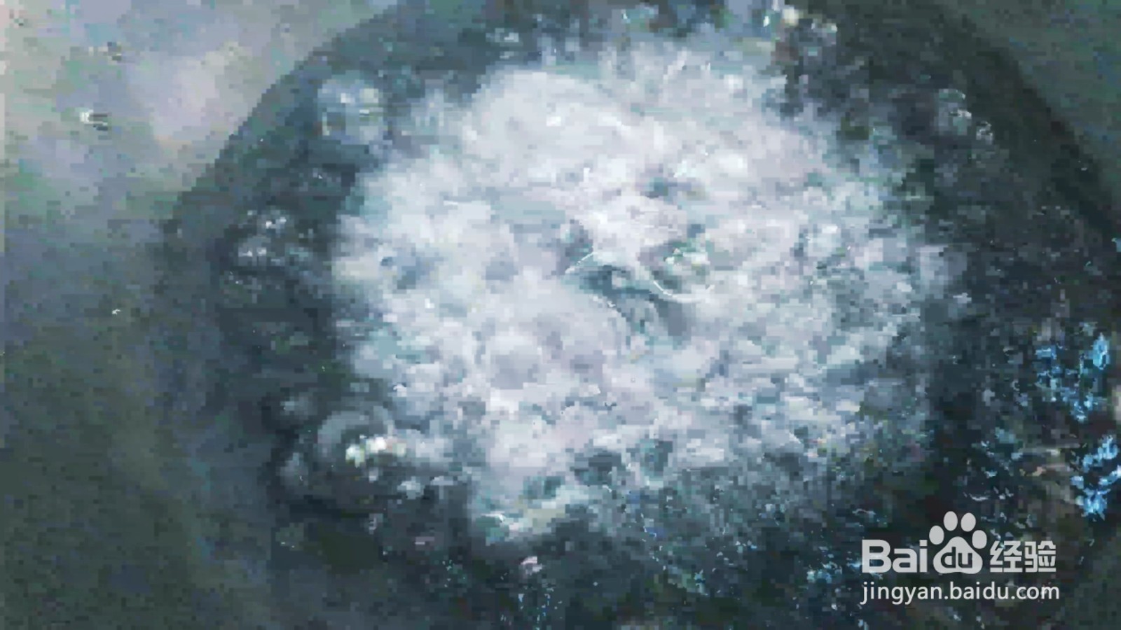 一道非常有营养价值的西兰花炒火腿肠