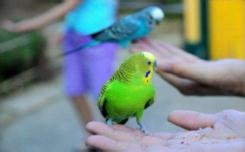 爱宝乐园旅游攻略