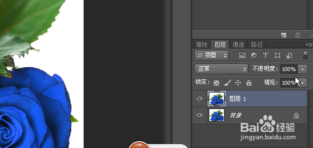 制作动态蓝玫瑰