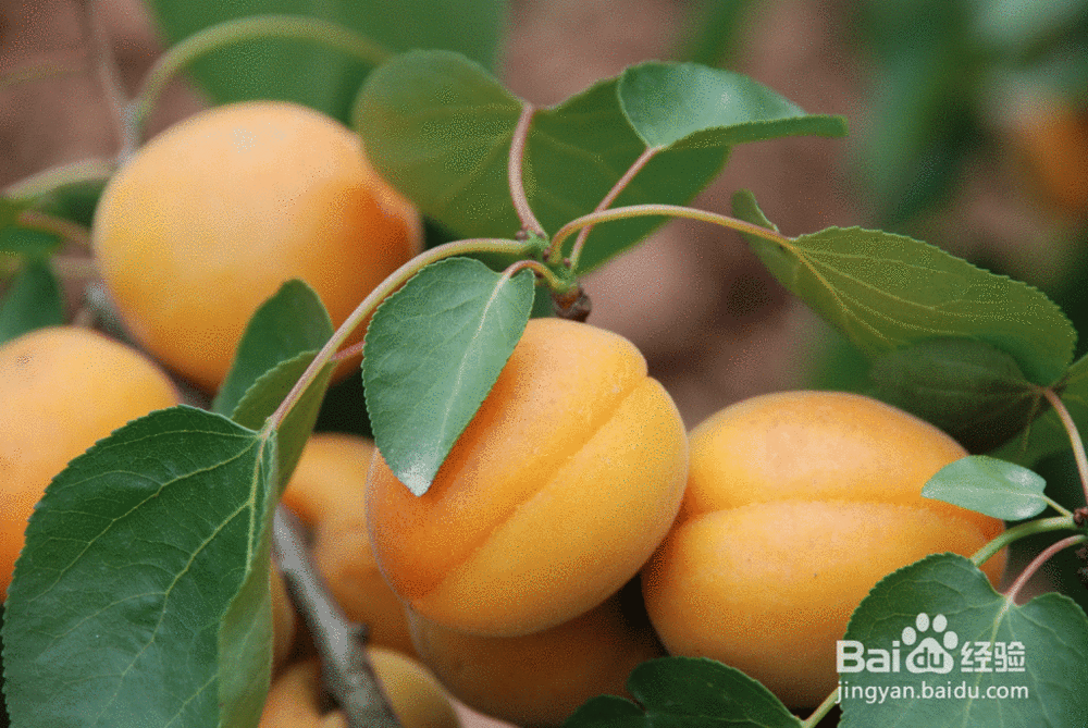 怀孕期间应该注意的一些事项