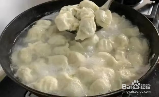 美味的茴香猪肉水饺的做法