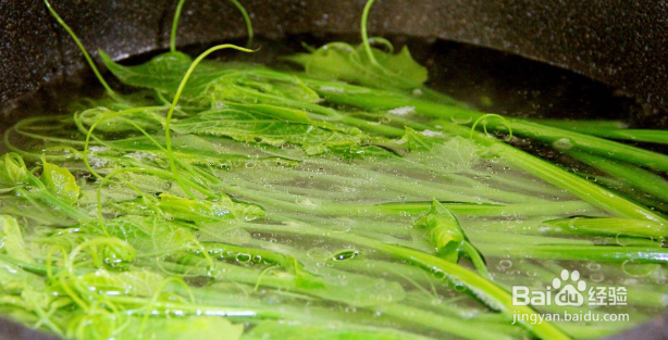 耗油佛手瓜苗做法