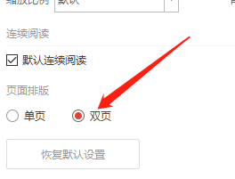 Win版极光PDF如何将页面设置为双页