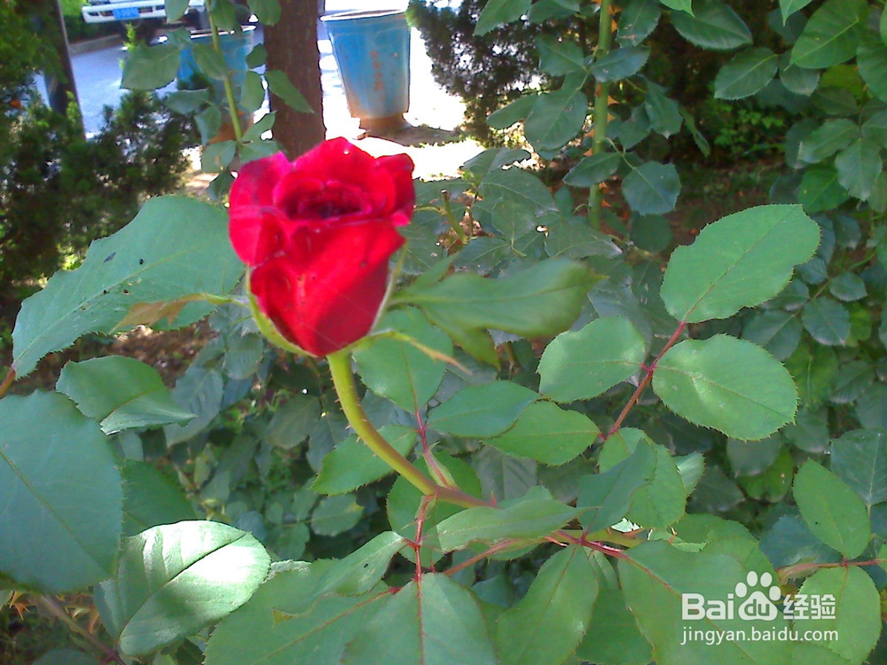 读书的好处---12