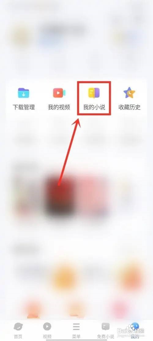 vivo浏览器怎么看记录