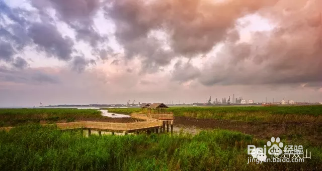 我能想到最浪漫的事