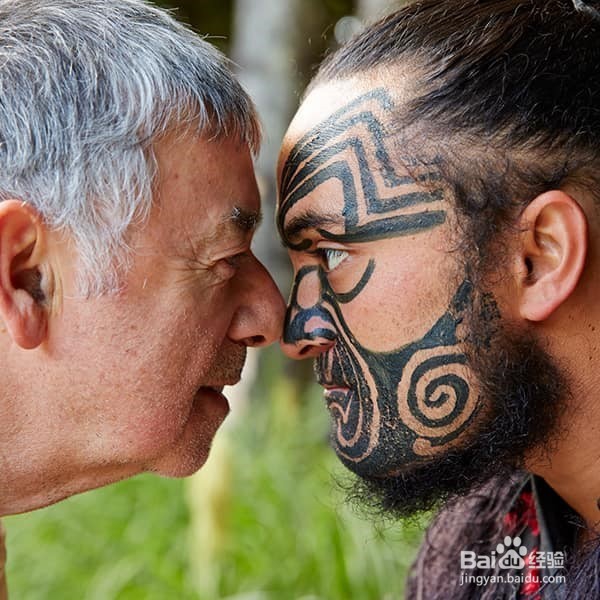 游记:公主邮轮畅游澳新,观世界、享生活