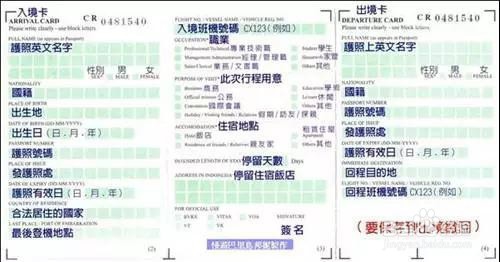 巢之美巴厘岛攻略