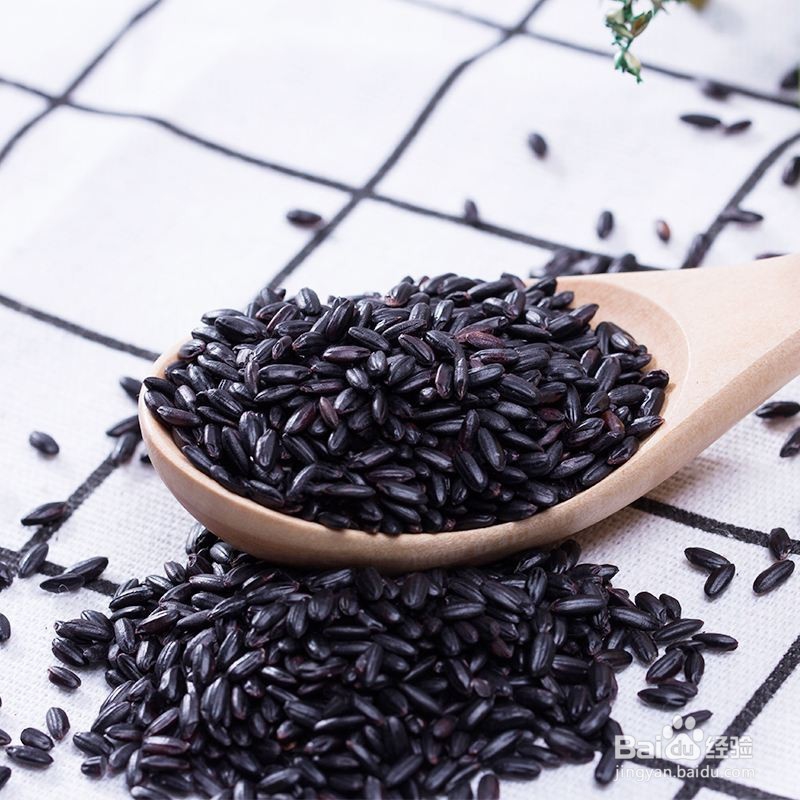 养肾的瘦肉双丁黑米粥