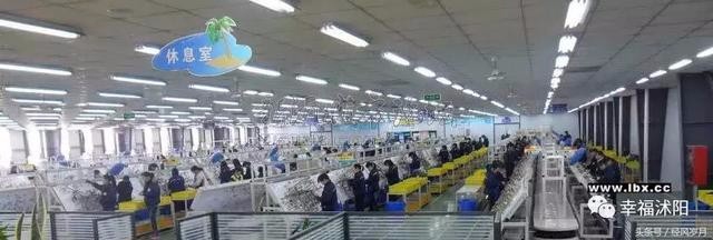 带你细数那些年沭阳有什么