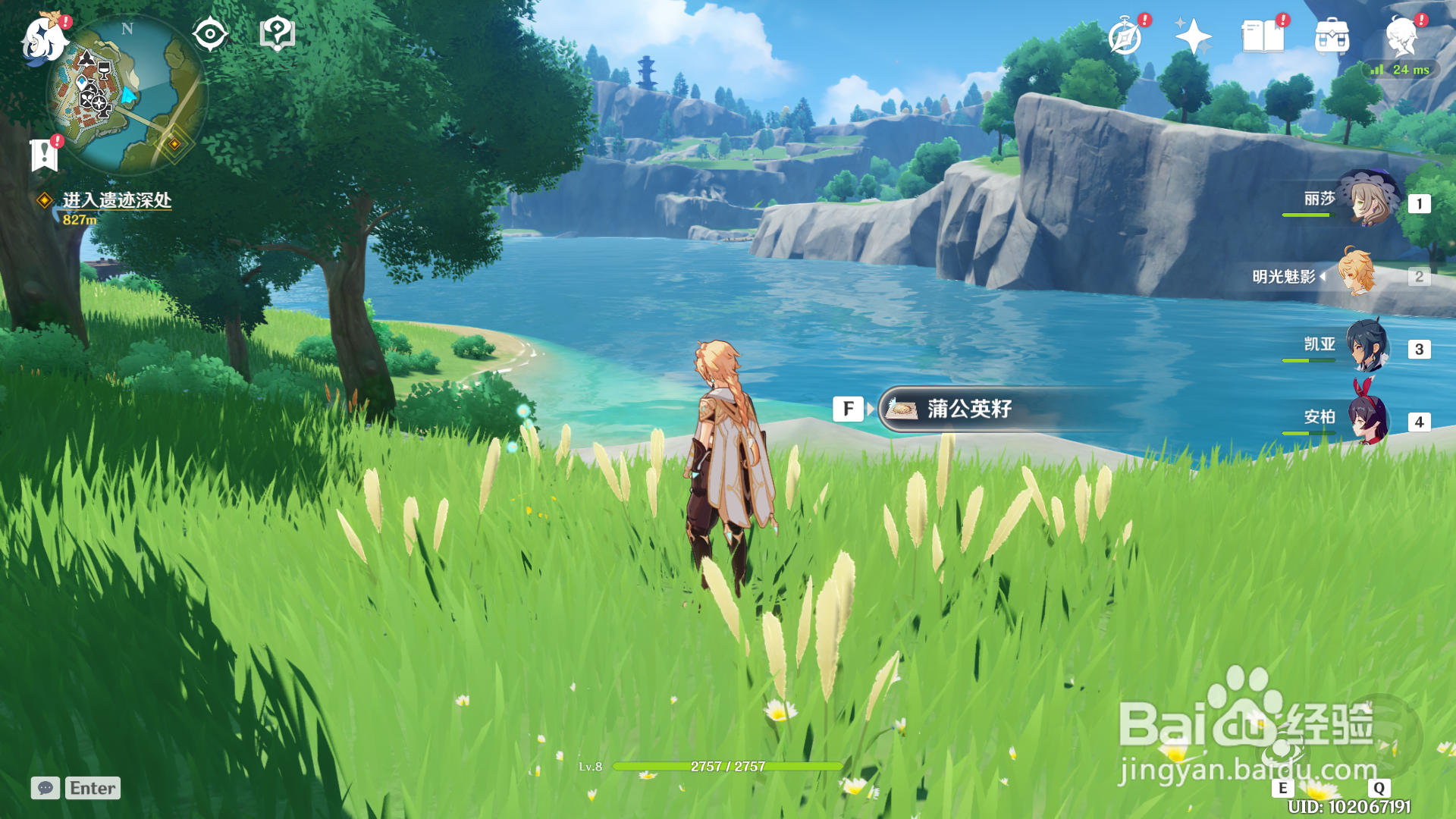 原神蒲公英籽在哪里