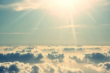 中学生必会的几条谚语