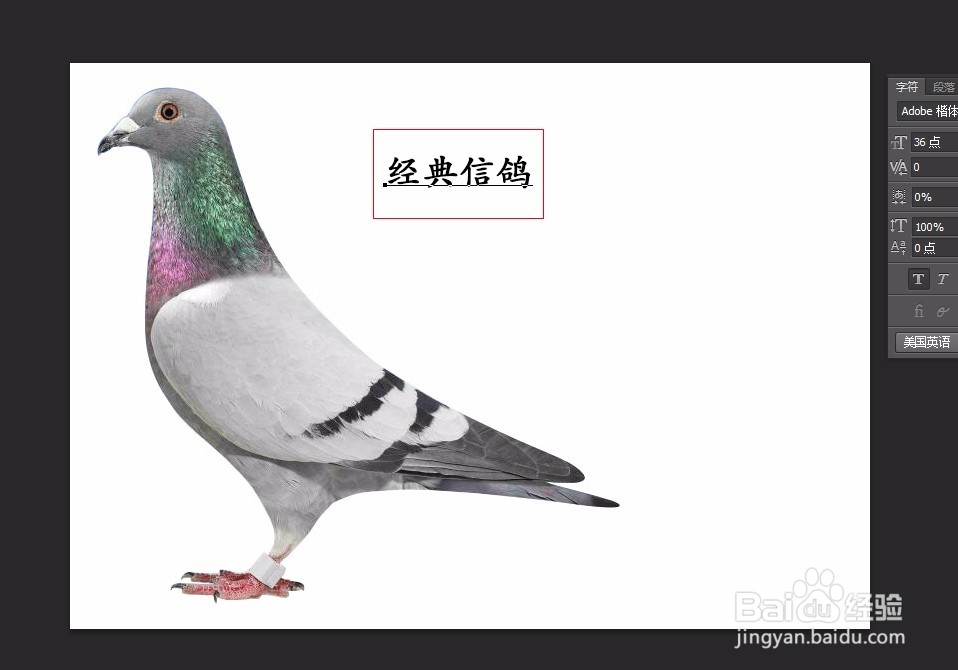 ps基础教学【新手必看2】