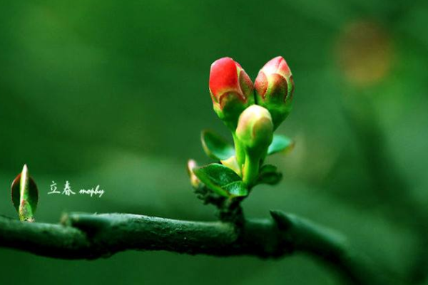 “立春”是每年真正的第一天,而正月初一却不是,那“春节”为什么不设在“立春”呢