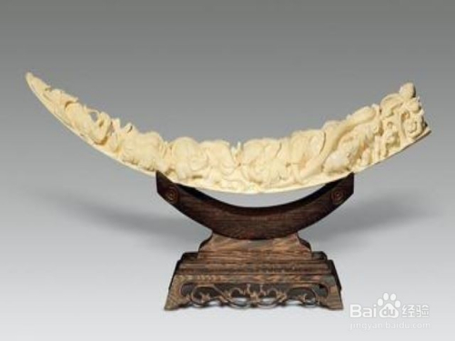 如何区分象牙与骨头