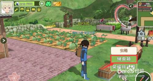 小森生活甲虫箱怎么做