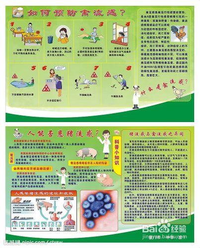 怎么样预防禽流感