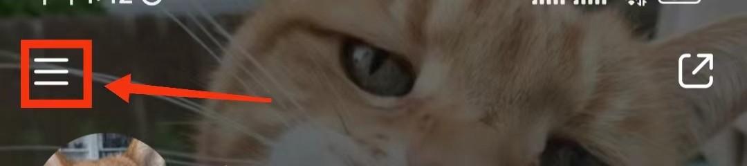 小红书怎么查看钱包