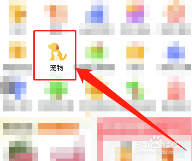 狗狗拉血便怎么办