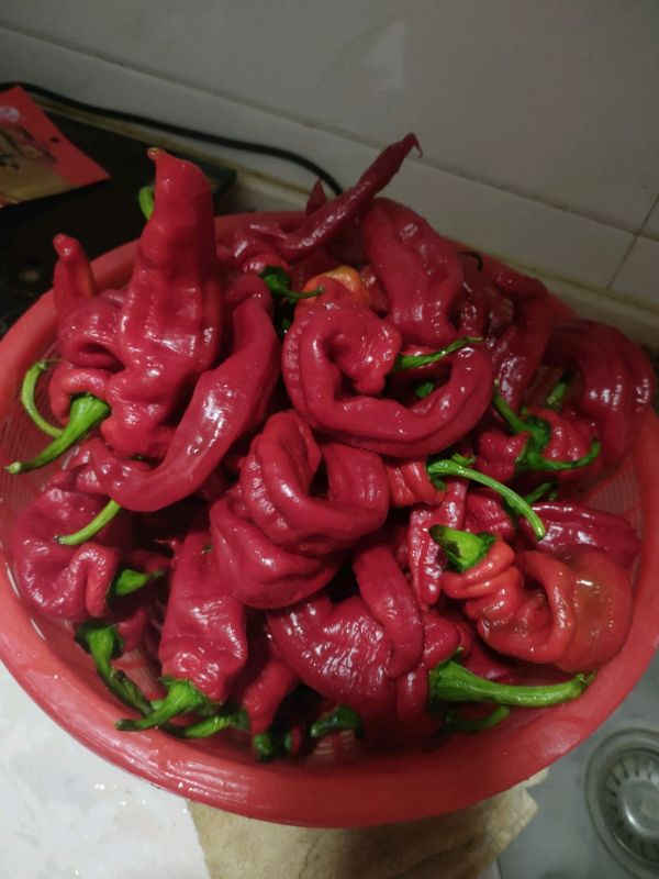 手工红油辣椒酱