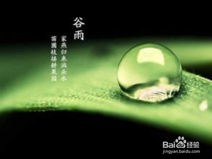24节气养生----谷雨养生