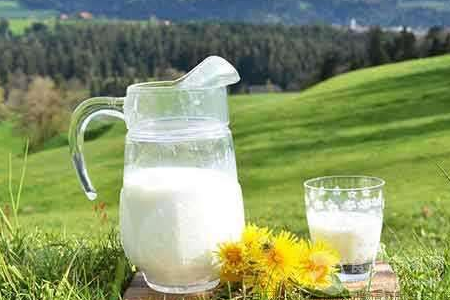 老年人喝驼奶有什么作用