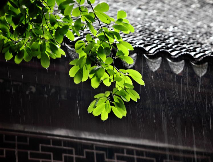 描写“雨下的没完没了”诗词有哪些