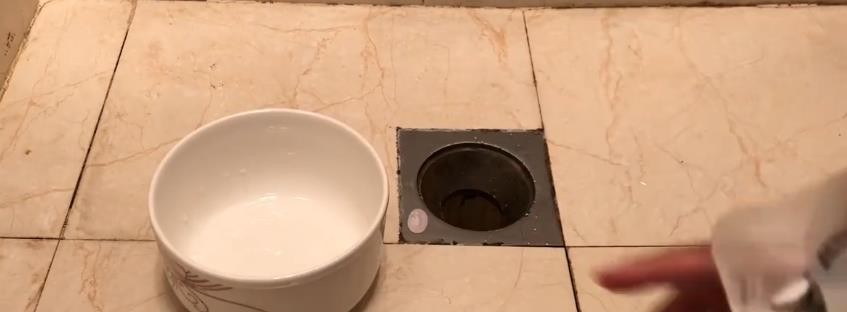 卫生间有会跳的小虫子怎么办