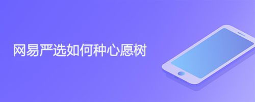 网易严选如何种心愿树