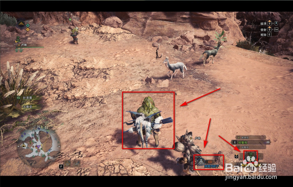 怪物猎人世界搬运蚁怎么捕捉