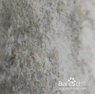 厕所蜘蛛怎么处理