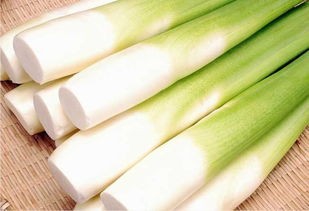 吃哪些食物可以催乳