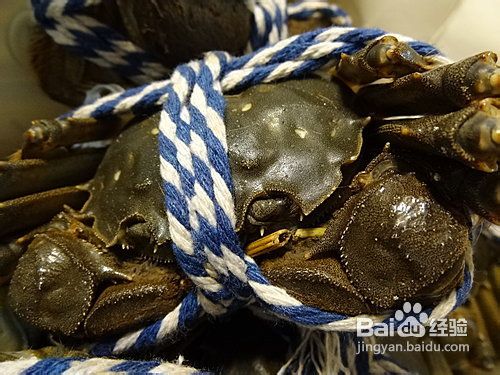 怎样保存活的大闸蟹？