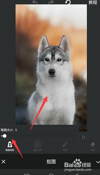 手机PS修图软件如何将图片背景设置为指定图片