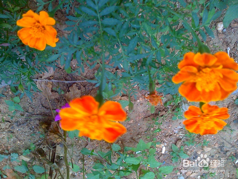 孩子性格内向初中毕业是学专业还是继续读书？