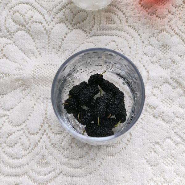 桑葚蔓越莓冰饮