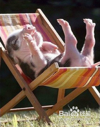 5种极简风格拍摄技巧