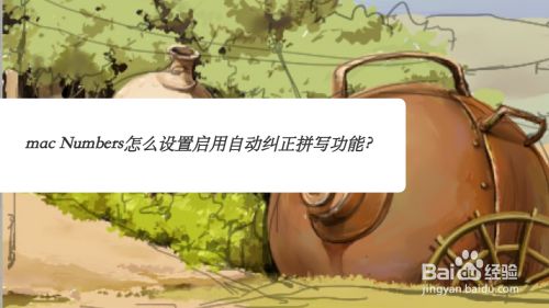 mac Numbers怎么设置启用自动纠正拼写功能