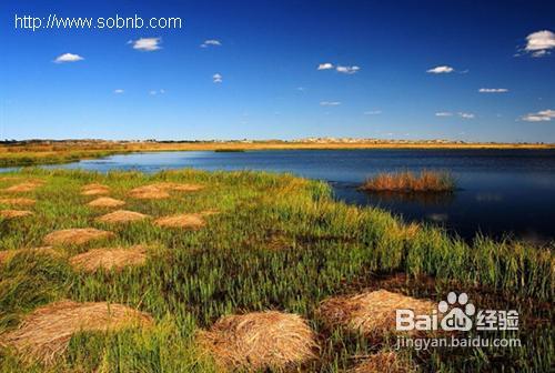达里诺尔湖住宿攻略