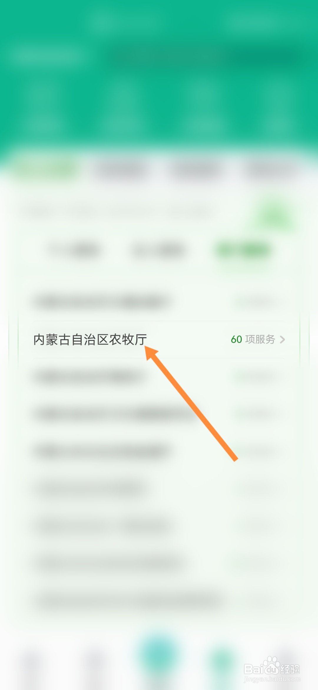 蒙速办怎样办理饲料添加剂产品批准文号