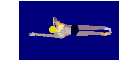 怎样更好的学习自由泳？