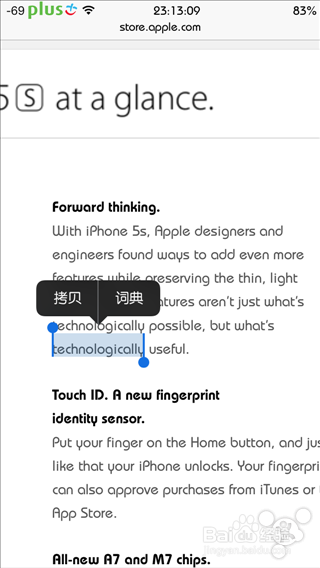苹果Safari使用技巧