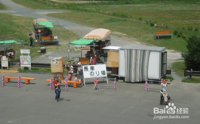 日本岚山一日游攻略?