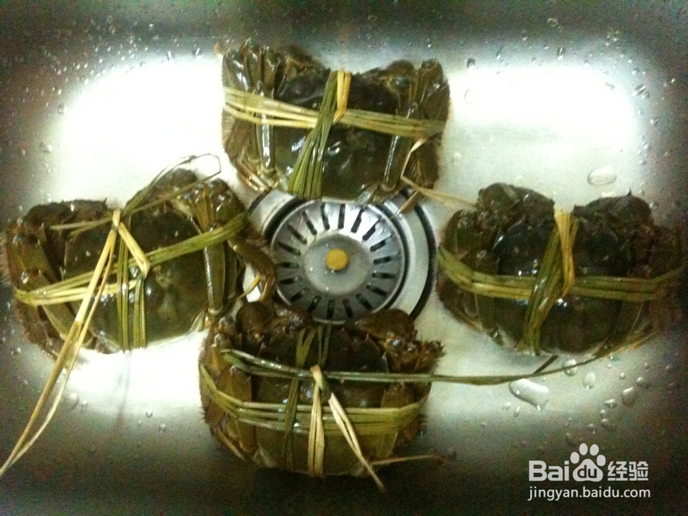 清蒸美味大闸蟹